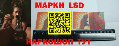 сатива Новозыбков